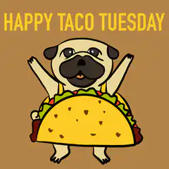 Happy Taco Tuesday Pug