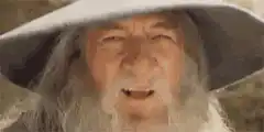 Gandalf squinting and smiling