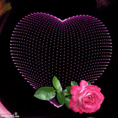 Pink rose and heart of lights