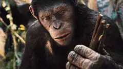 Apes Together Strong Meme