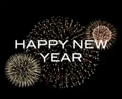 Happy New Year fireworks animation