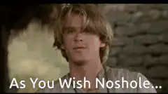 As You Wish Noshole