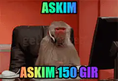 Monkey at computer with headset