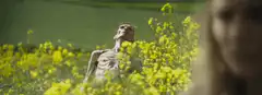 The Lich in the yellow flowers