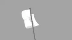 white flag waving on pole