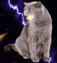 Cat eating a comet