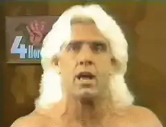 Ric Flair shocked and pointing