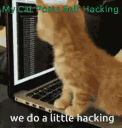 My Cat Posts Self Hacking
