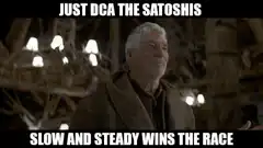 Just DCA the Satoshis Slow and Steady