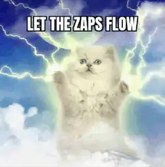 Let the Zaps Flow Cat