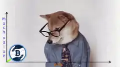 Shiba Inu Doge Bitcoin Moon
