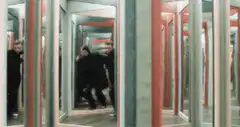 Agent Smith in the mirror maze