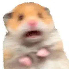 Blurred hamster with open mouth