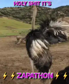 Holy Shit It's Zapathon Ostrich