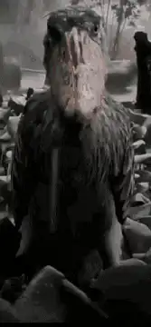 Gollum as a bird