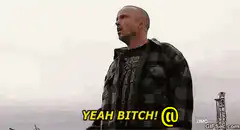 Walter White Yeah Bitch