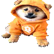 Shiba Inu in Bitcoin hoodie