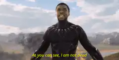 Black Panther I Am Not Dead