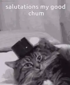 cat tipping top hat salutations my good chum
