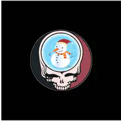 Grateful Dead skull with snow globe