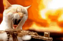 Screaming cat with gun and explosion