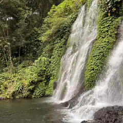 waterfall in lush green forest
