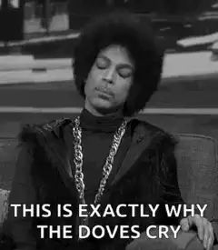 Prince This Is Exactly Why The Doves Cry