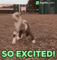 Excited baby goat jumping