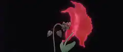Giant flower transforms into bat