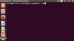 ngopher gopher animation