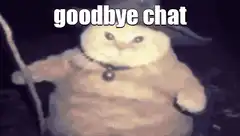 Goodbye chat cat