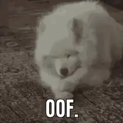 Fluffy dog falling over with OOF text