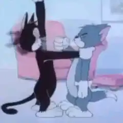 Tiger punches Tom in the face