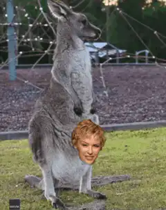 Kangaroo with Julianne Moore head