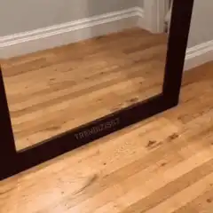 French bulldog barks at mirror