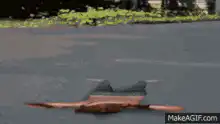 Girl emerges from water with hands up