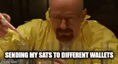Breaking Bad sending sats to different wallets