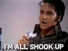 Elvis Presley I'm All Shook Up