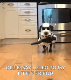 Dog dressed as Stormtrooper with gun