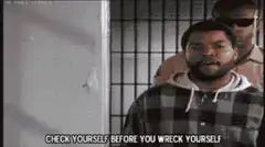 Ice Cube Check Yourself Before You Wreck Yourself
