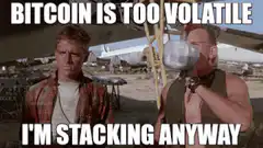 Vodka Guy Bitcoin Volatile