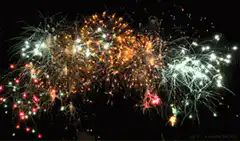 Colorful fireworks exploding in the night sky