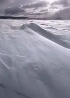 wind blowing snow across a field