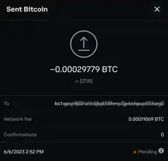 Bitcoin sent pending confirmation