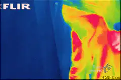 Thermal camera view of person breathing