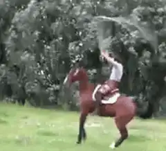person riding a red horse