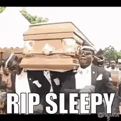 Coffin Dance RIP Sleepy