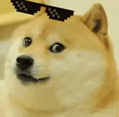 Deal With It Doge