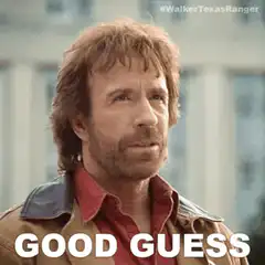 Chuck Norris Good Guess