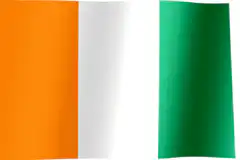 Irish flag waving